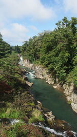 Scenic view of river amidst trees in forest against sky