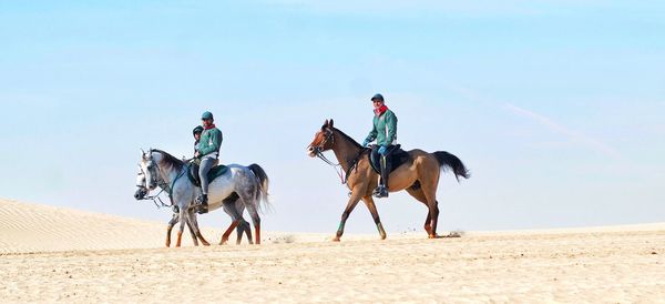 View of people riding horse on beach