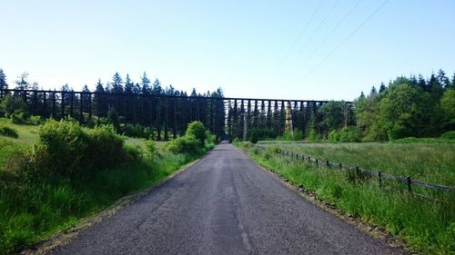 Empty road along trees