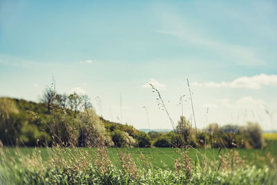 Scenic view of grassy field against cloudy sky