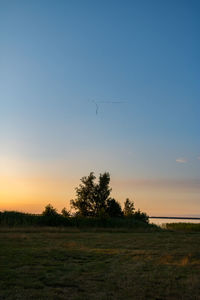 Silhouette bird flying over field against clear sky