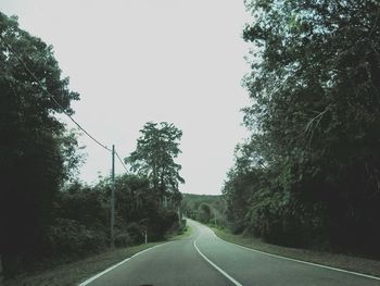 Empty road along trees