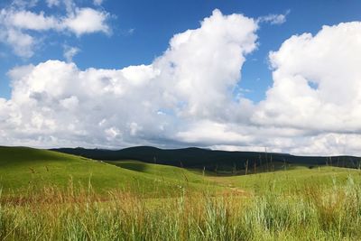 Scenic view of agricultural field against sky