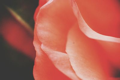 Full frame shot of red background