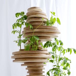 Stack on woods and plant at home