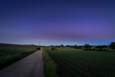 Scenic view of agricultural field against clear sky