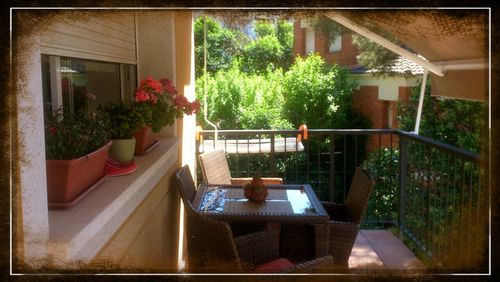 Potted plants on table by swimming pool in building