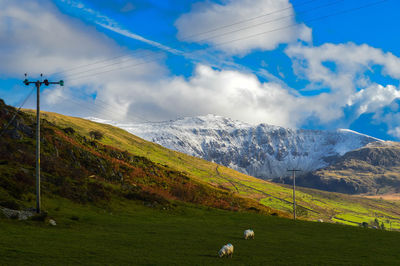 Scenic view of field and mountains against sky