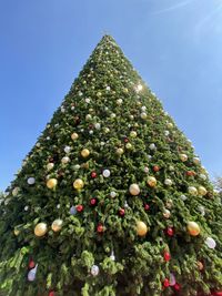 Low angle view of christmas tree against sky