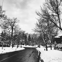 Road passing through bare trees