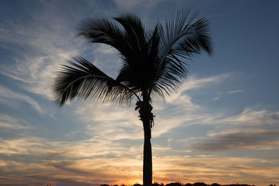 Low angle view of silhouette palm tree against sky during sunset