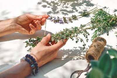 Alternative medicine. collection and drying of herbs. woman holding in her hands a bunch of marjoram