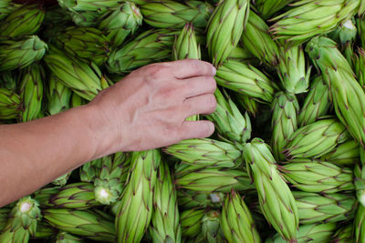 Cropped hand holding food