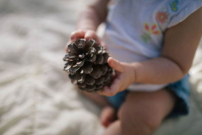 Close-up of baby holding pine cone