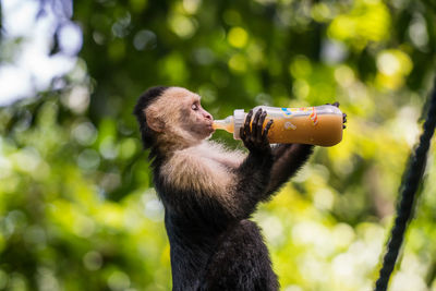 Low angle view of man drinking water from bottle