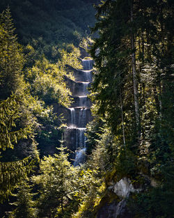 Scenic view of waterfall in forest