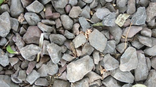 Full frame shot of pebbles