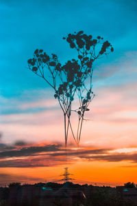 Tree on field against sky during sunset