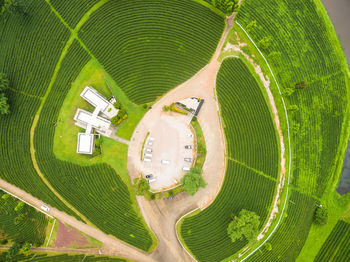 Aerial view of green landscape