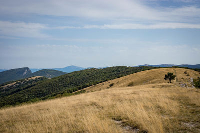 Scenic view of field against sky
