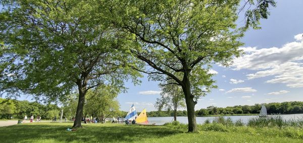 A peaceful summer scene at a lake shore with sailboats