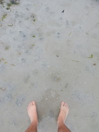 Low section of man standing on beach