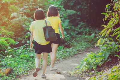 Rear view of female friends walking on footpath amidst plants