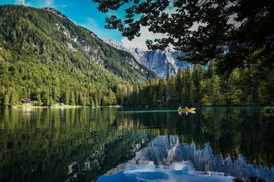 Scenic view of lake in forest against sky