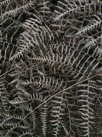 Full frame shot of fishing net