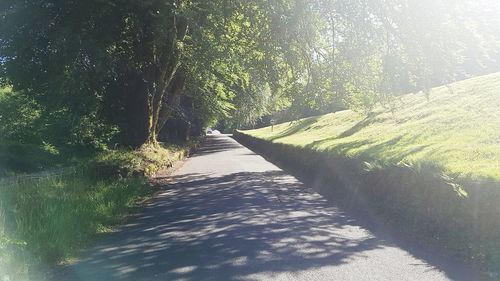 Empty road along trees in forest