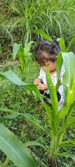 Full length of girl holding plant on field