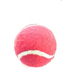 Close-up of red fruit over white background