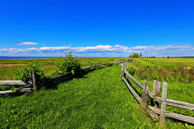 Scenic view of field against clear sky