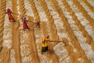 Rice mill workers. people are stretching and pulling golden paddy to dry at a rice mill of india.