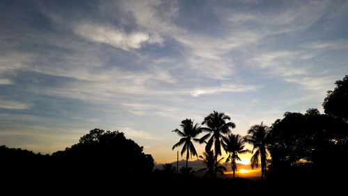 Silhouette palm trees against sky during sunset