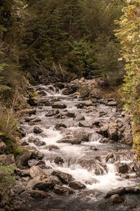 Stream flowing through rocks in forest