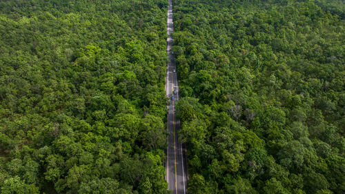 Scenic view of agricultural field