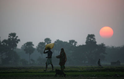 Villagers return home after a hard day on the rice fields, sundarbans, west bengal, india