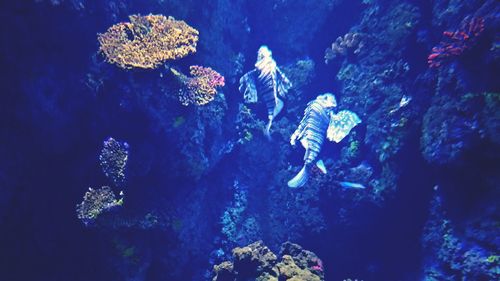 Rock formation in sea