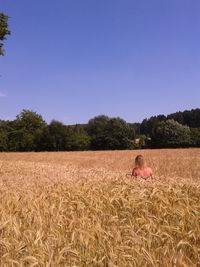 Trees on grassy field