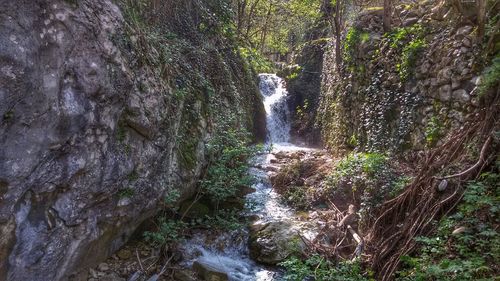 River flowing through rocks