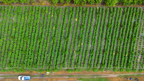 High angle view of agricultural machinery