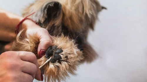 Close-up of man with dog