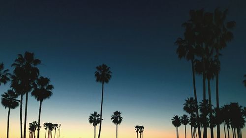 Low angle view of silhouette palm trees against clear blue sky