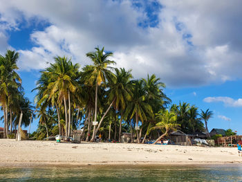 Palm trees on beach against sky
