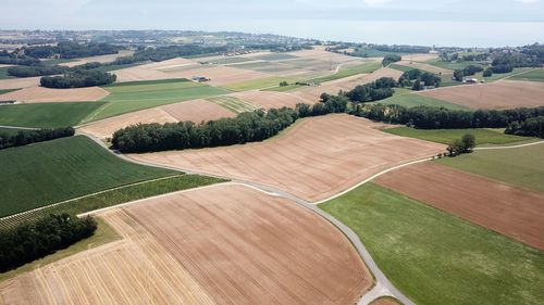 High angle view of agricultural field