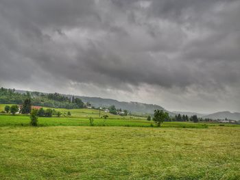 Scenic view of field against sky