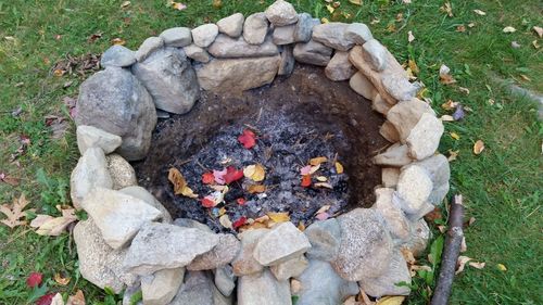 High angle view of leaves