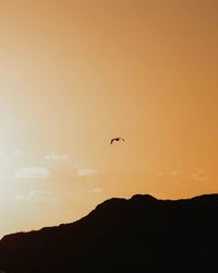 Silhouette of birds flying in sky