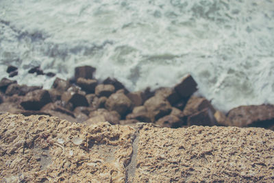 Close-up of rocky shore